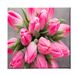 Homemania Muurfoto, bloemen, natuur, voor woonkamer, slaapkamer, meerkleurig, 60 x 3 x 60 cm, HM20KNV60 x 60 – 25, polyester, hout