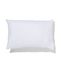HEMA Kussen binnenvulling 30x50 gerecycled polyester (wit)