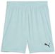 Puma TeamGoal Shorts 705752 Heren L Modern Mint