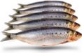 Prebaits Doodaas Sardines Groot - Vacuüm verpakt - 15-23CM - 4-8ST