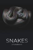 Serpentine Elegance: A Visual Exploration of the World's Most Captivating Snakes