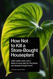 How Libri GmbH How Not to Kill a Store-Bought Houseplant: Light, water, pots, and a keep-or-move plan for the plants you already brought home