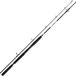 Daiwa BG Bootsrute