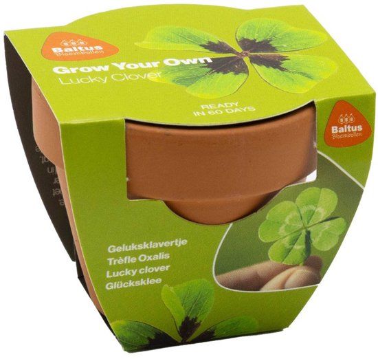 Baltus Grow Your Own Lucky Clover zadenpakket