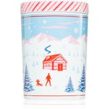 DW Home Scene & Stripes