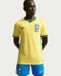 Nike Brazil National Team 2026 Authentic Voetbalshirt Heren M