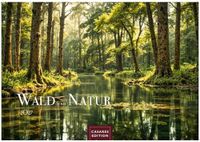 Wald & Natur Kalender 2027 - Wandkalender | Fotokalender Naturkalender Großformat 35x50cm - Natürliche Schönheit & Ruhe für jeden Monat