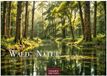Wald & Natur Kalender 2027 - Wandkalender | Fotokalender Naturkalender Großformat 35x50cm - Natürliche Schönheit & Ruhe für jeden Monat