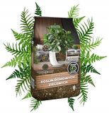 Biovita Potgrond voor Groene Kamerplanten - Lichte Structuur - 8L