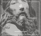 Coast2Coast Cold Spring Trepaneringsritualen - Perfection & Permanence (CD)