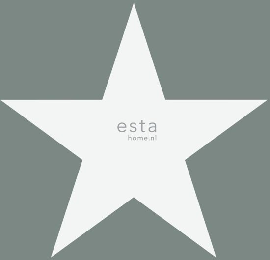 Esta Home behang sterren vergrijsd groen - 138950 van uit Regatta Crew - Surf Edition