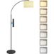 Lampadaire noir avec télécommande abat-jour réglable 11 températures de couleurs et 11 niveaux de luminosité minuterie