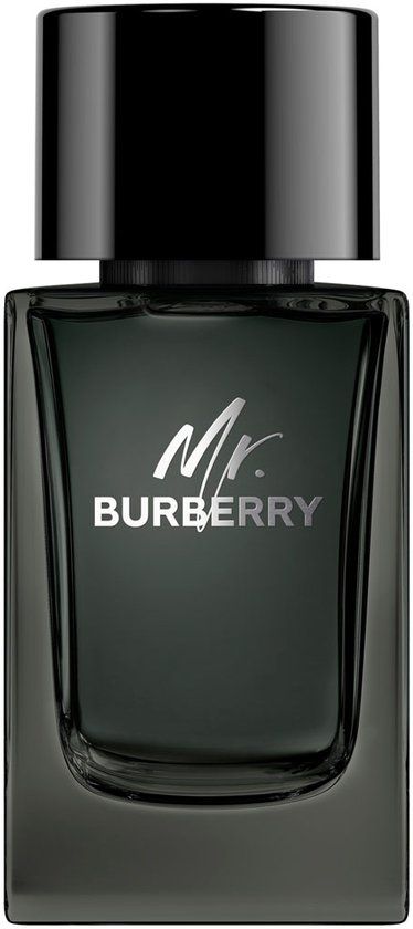 Burberry Eau de Parfum / 100 ml / Mannen