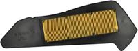Sifam Luchtfilter voor Yamaha 300 MWD Tricity driewielige scooter, modeljaar 2020 t/m 2025, nieuw