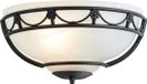 Steady Lighting Landelijke Wandlamp Metaal Zwart E27