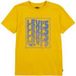 Levi's T-shirt pour garçon Citrus Taille : 14Y