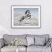 Cheval Affiche / Poster - 70x100 Cm - Photo Pleine Page