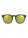 Alsteca Wynwood C21 Zonnebril Zwart
