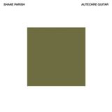 Autechre Guitar (LP)