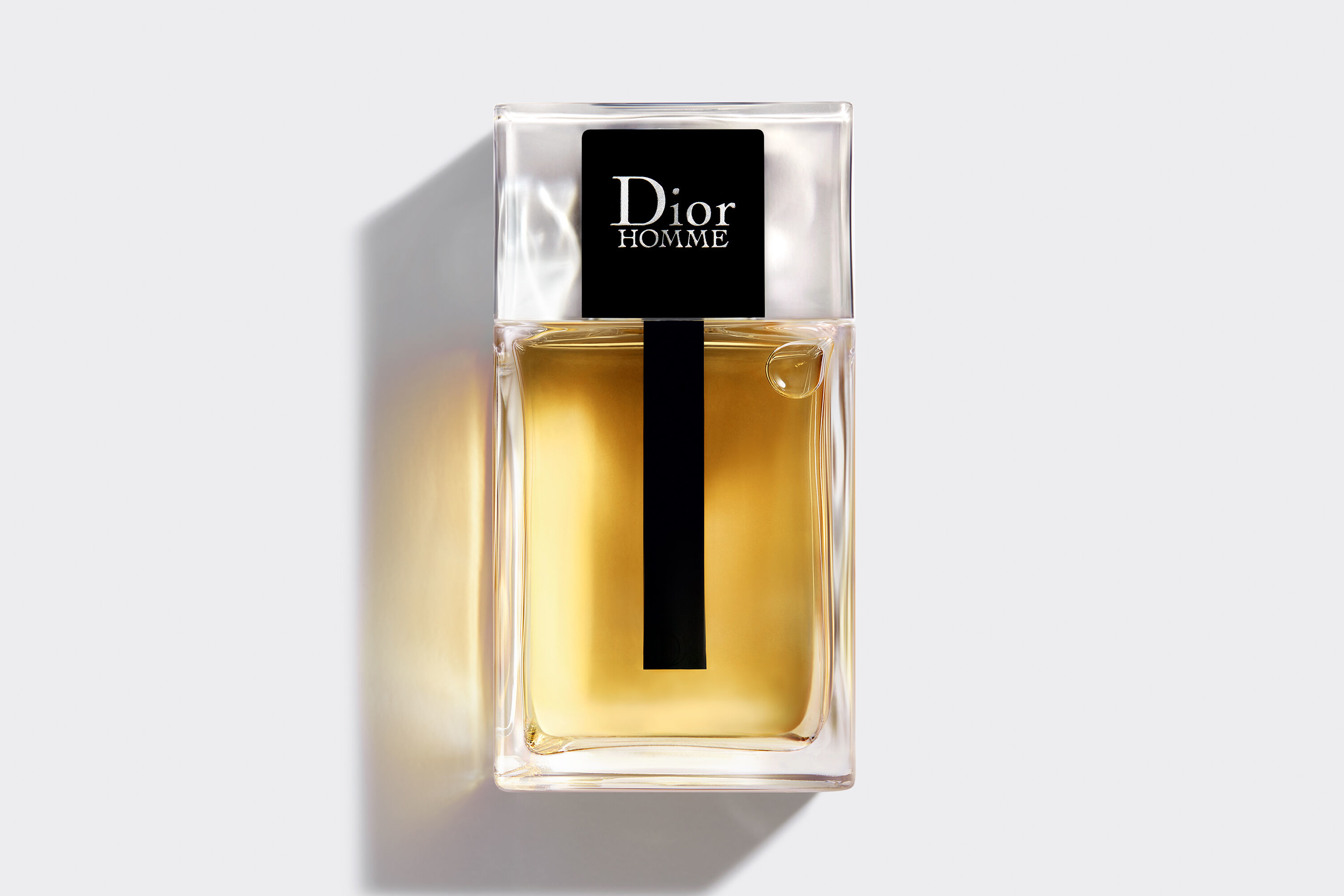 Dior   Homme