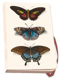 Bekking & Blitz Carnet A6 Butterflies