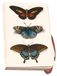 Bekking & Blitz Carnet A6 Butterflies