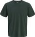 JACK & JONES JJEORGANIC BASIC TEE SS O-NECK NOOS JNR Jongens T-shirts Katoen Scarab