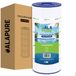 Filterexpert BV Filtre de piscine pour Hayward SwimClear C150SE / CX150XRE