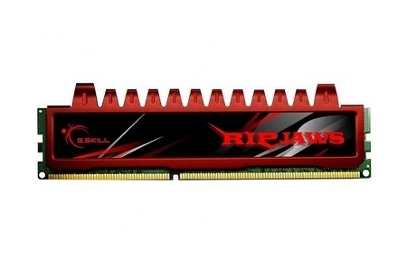 g.skill 8GB DDR3 PC3-10666 DC Kit