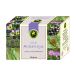 Hypericum Thé antiallergique, 20 sachets portion