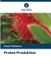Protea-Produktion: Verlag Unser Wissen Protea-Produktion Paperback