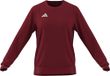 adidas dames Entrada26 Sweat Top Sweatshirt, team power red 2/white, M