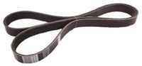 Japanparts DV-6PK1445 V-riem