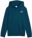 Puma Sweatshirt Ess 2 Color Small No. 1 Logo Hoodie Fl B