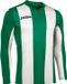 Joma Pisa Voetbalshirt Lange Mouw Heren - Groen / Wit | Maat: 2XL-3XL