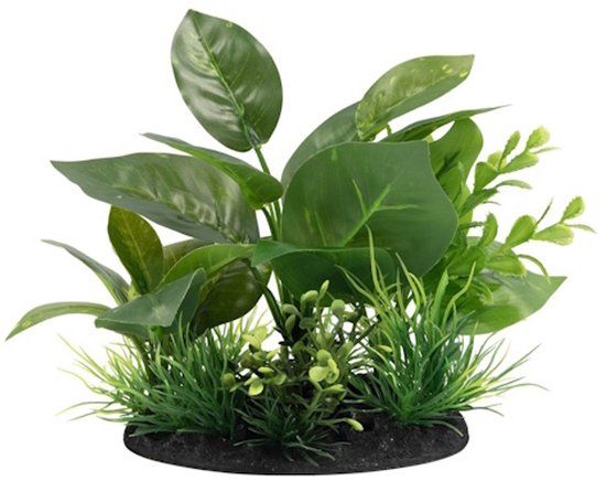 SuperFish Deco Plant S NR. 5