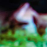 Disc Hair & Treasure - Disc Rot (LP)
