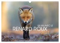 Un Calvendo Un an avec le renard roux (Calendrier mural 2027 DIN A3 vertical), CALVENDO calendrier mensuel