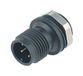 BINDER 09-0431-81-04 M12 Connecteur de câble Mâle Soudure IP67 250V 4A Allemagne