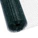 CCLIFE Kippenhek, gevogeltenet, maaswijdte 45 mm, hoogte 100 cm, lengte 15/25/50 m, PVC-gecoat groen