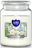 Aegis Aura Geurende Kaars Blooming Jasmine Glas 100 Branduren
