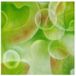 Walimex 15917 - Accessoire pour appareil photo
