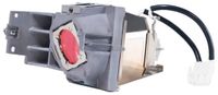 BenQ 5J.JKV05.001 projectielamp