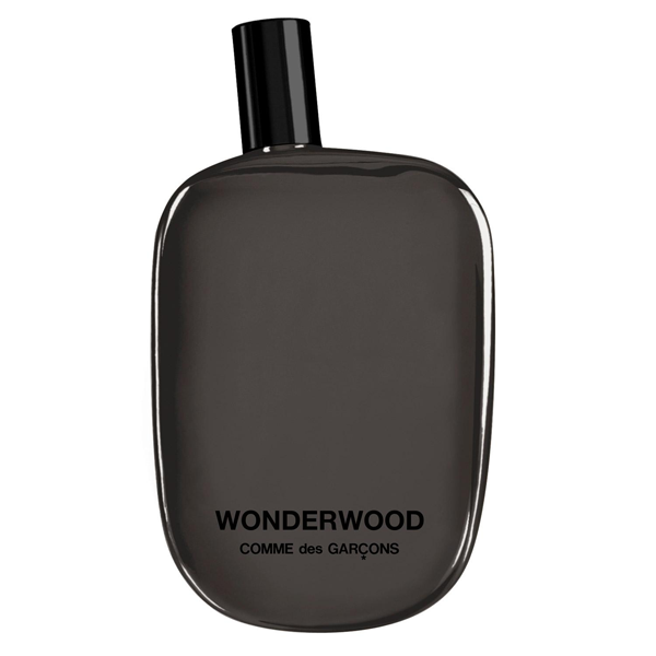 Comme des Garcons Wonderwood eau de parfum spray eau de parfum / 50 ml / heren