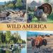 Willow Creek Press Wild America 2027 12 X 12 Wall Calendar