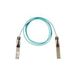 Cisco QSFP-100G-AOC1M= InfiniBand-kabel 1 m