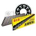 Kettingset DID Kettingset staal 530VX3 / 100 eindeloos voor Honda CB N 450 cc bj. 1984-1986