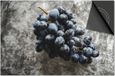 Dietrix Inductie Beschermer - 76x51.5cm - Groente en Fruit - Blauwe Druiven