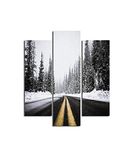 Homemania Wandafbeelding, winter, 3 stuks, natuur en landschappen per woonkamer, slaapkamer, meerkleurig, 57 x 0,3 x 60 cm, HM203MDF38, MDF