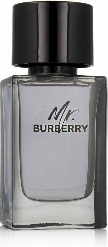Burberry Eau de Toilette / 100 ml / Mannen